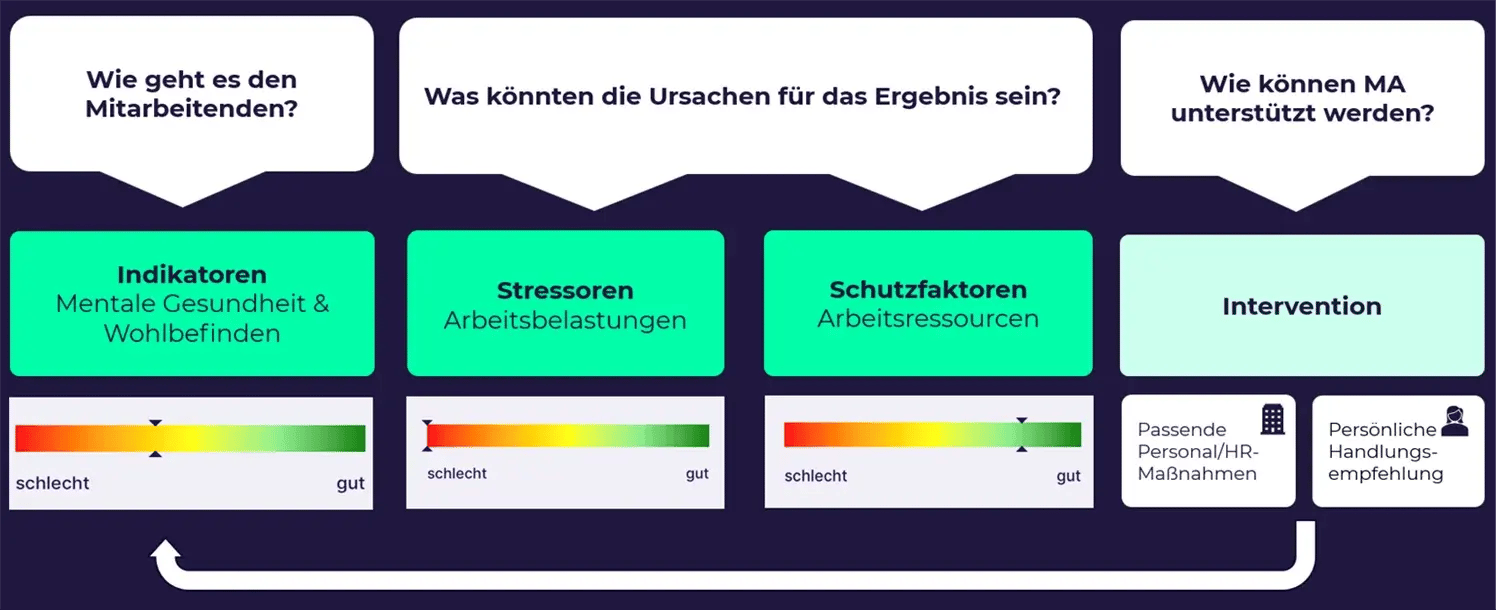 Aufbau von SUSTAYN Insights