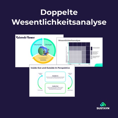 Workshopgrafik-Dppelte Wesentlichkeitsanalyse