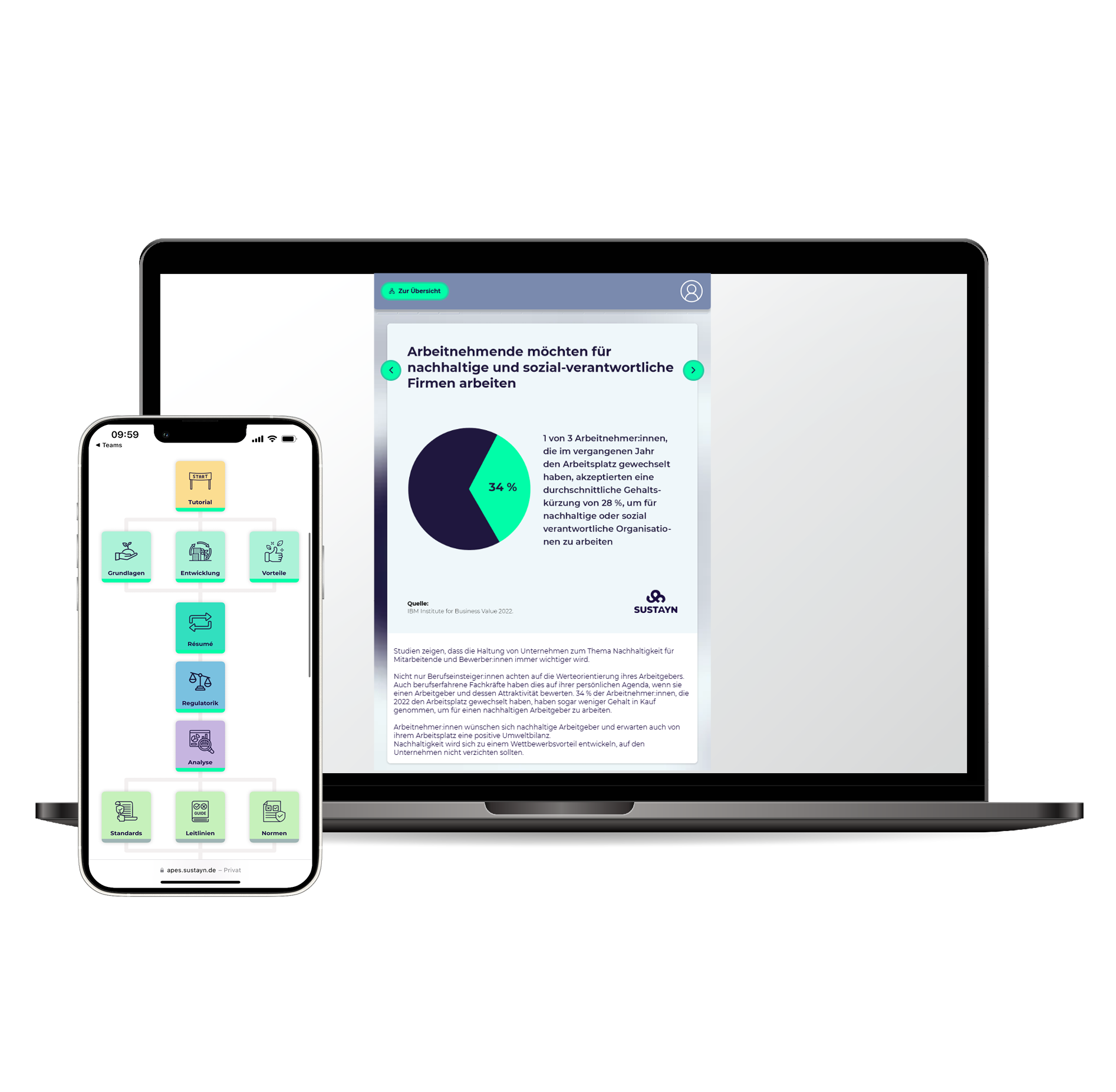 HubSpot-Webseite-Grafiken-Education-Einbindung