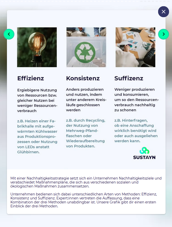 Screenshot Co-Pilot Nachhaltigkeitsstrategien