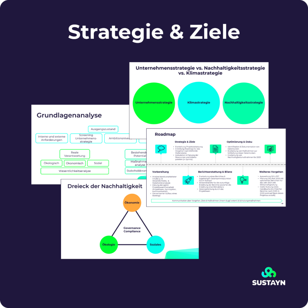 SUSTAYN Workshop: Strategie und Ziele